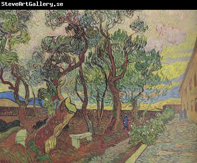 Vincent Van Gogh The Garden of Saint-Paul Hospital (nn04)